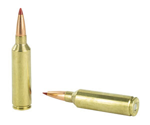 Hornady Precision Hunter 7mm WSM 162gr ELD-X 20 Rounds - Image 5