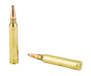 Hornady American Whitetail 300 Win Mag 180gr ISP 20 Rounds - Image 5