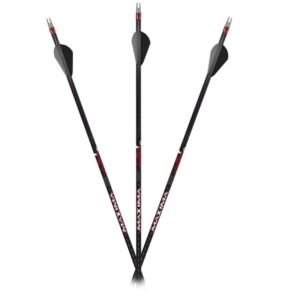 Carbon Express Maxima Sable RZ 400 Shaft Arrow - Image 1