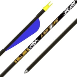 Gold Tip Youth Lightning Arrow - Image 1